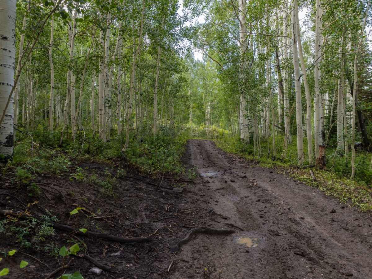 Step Flat Trail photo 3