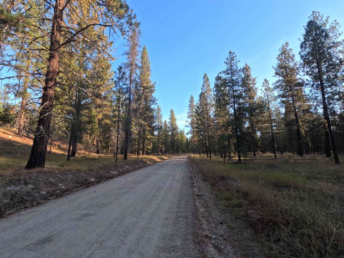Narcisse Creek Road photo 2