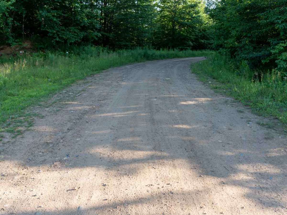 Mud Lake Road photo 3