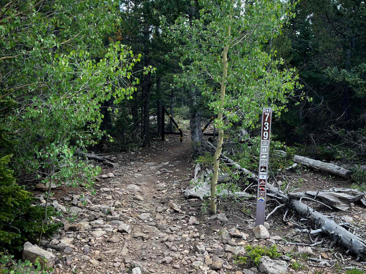 Browns Pass Trail #739  photo 2