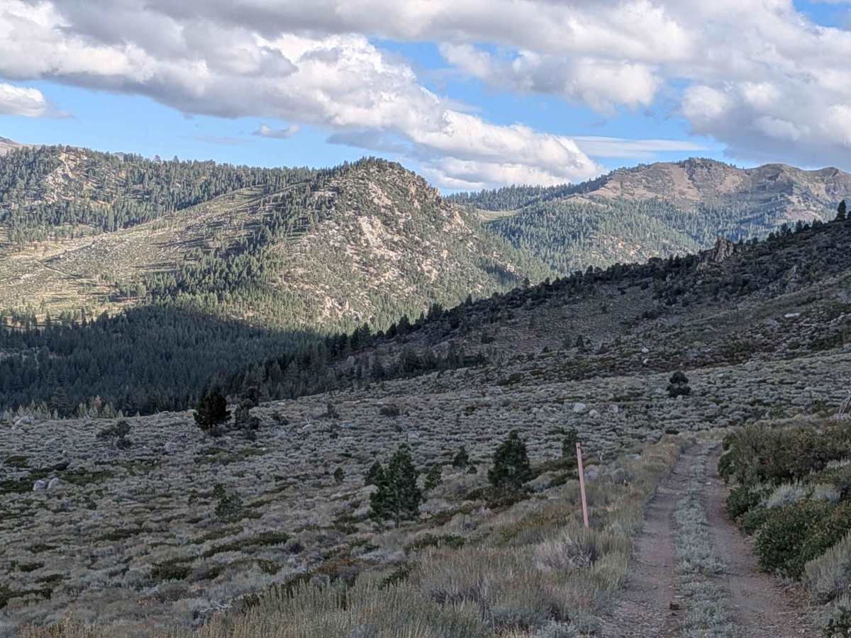 Lost Cannon Creek - FS 32212 trail photo