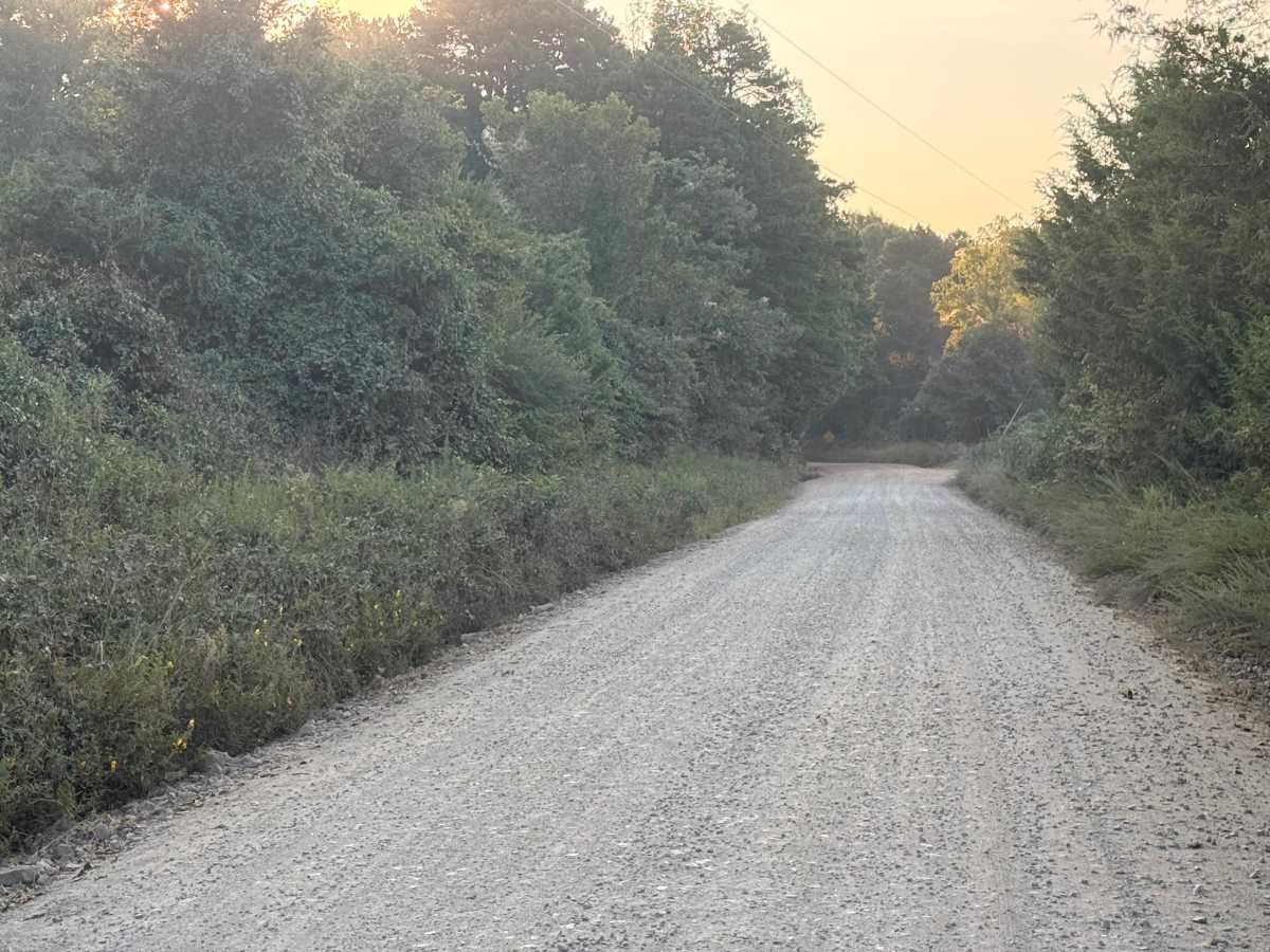 Polk Road 32 photo 3