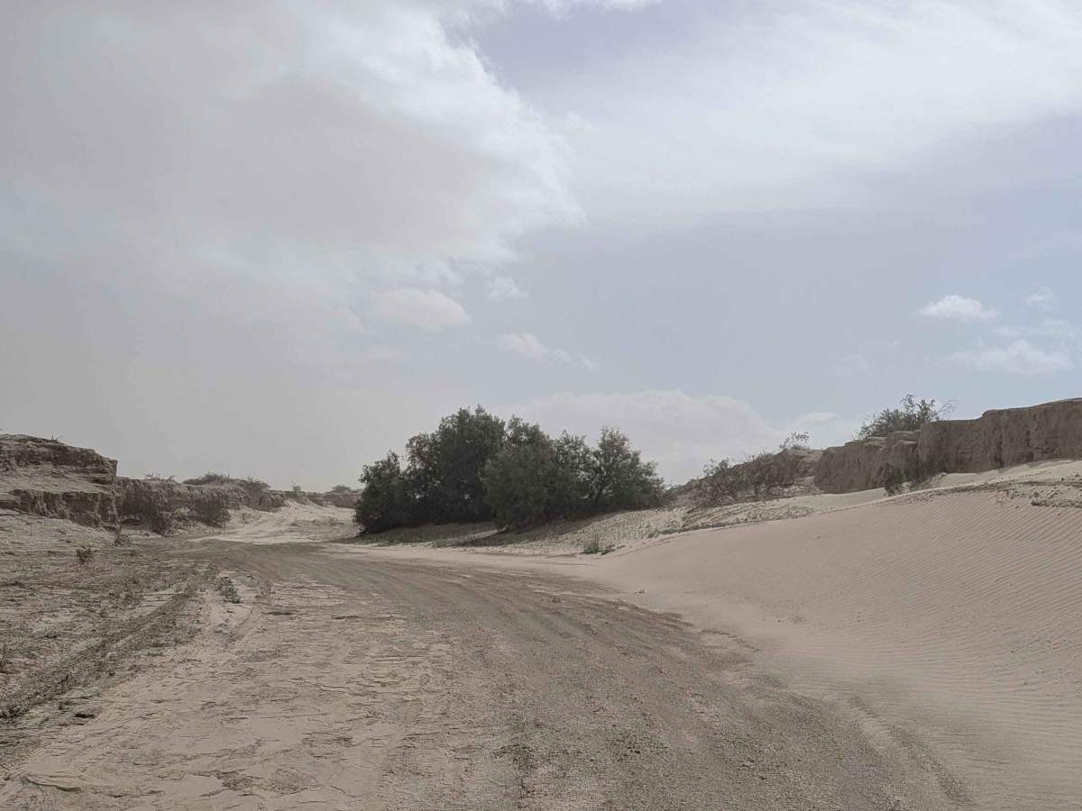 Morales Wash trail photo