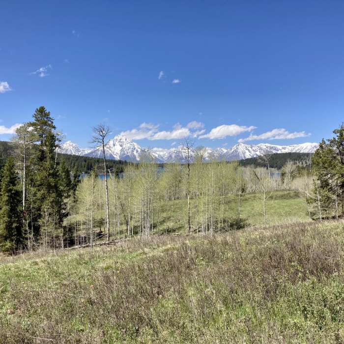 Near Emma Matilda and Two Ocean Lake Loop