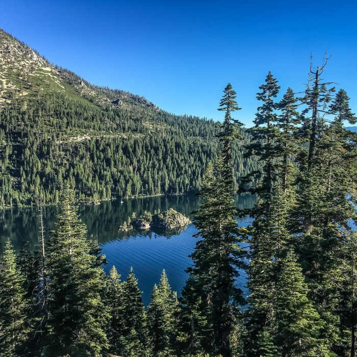 Near Lower Eagle Falls Trail