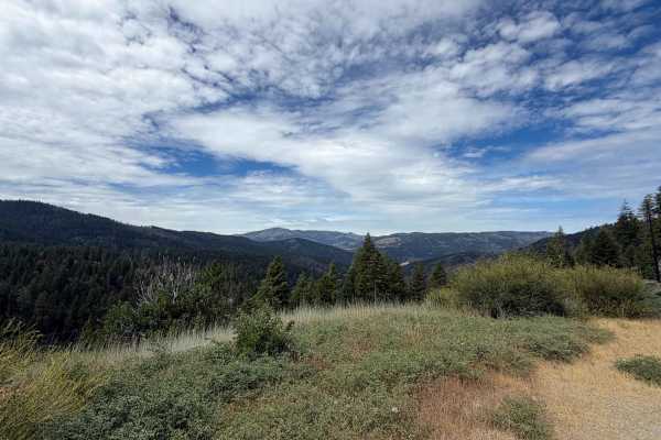 Estell Creek - FS 20N13
