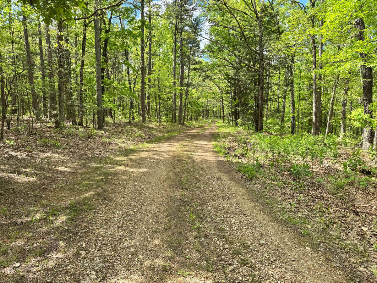 Trout Cemetery - FS 1771 photo 4