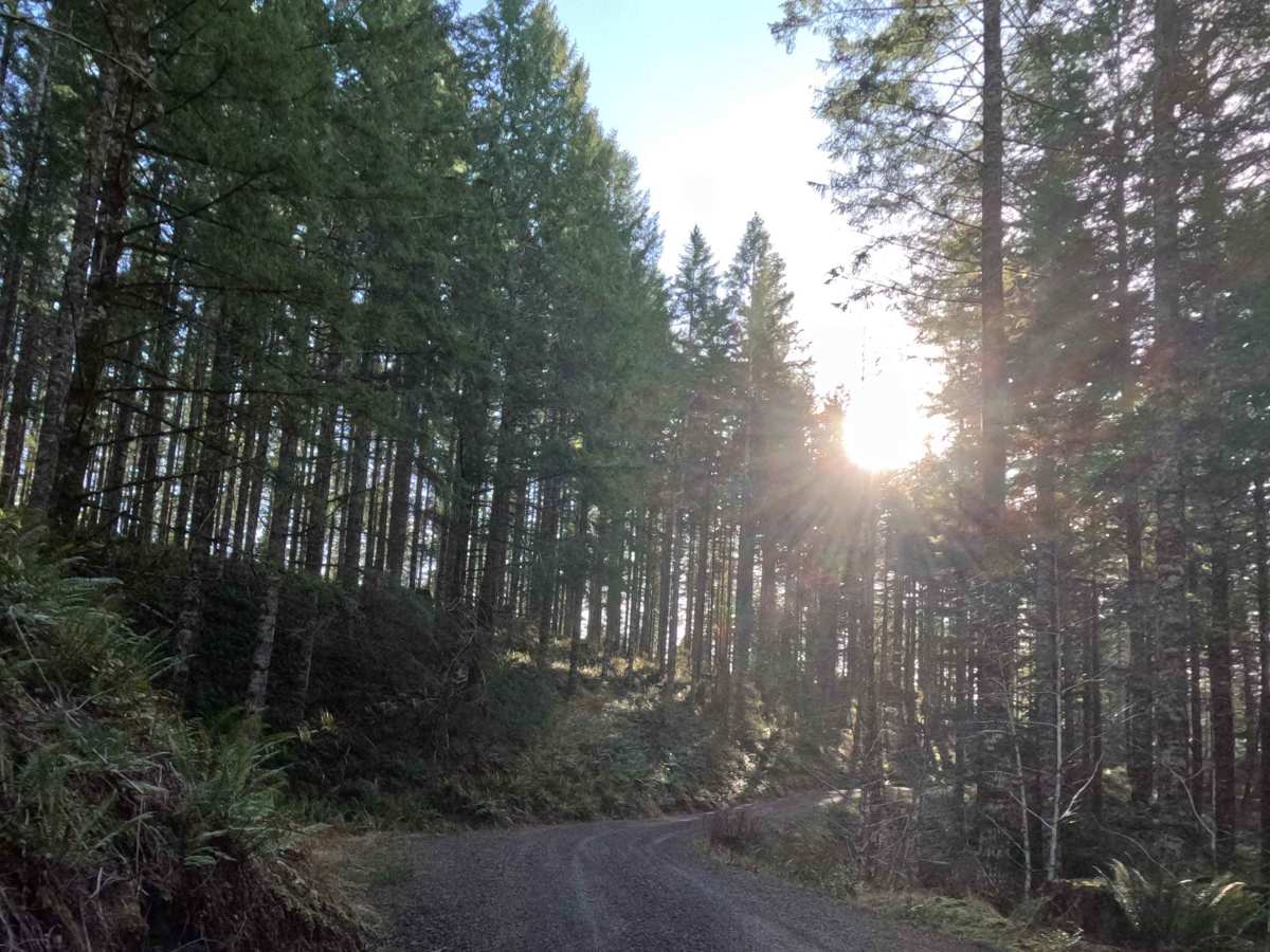 Archer  Road photo 6
