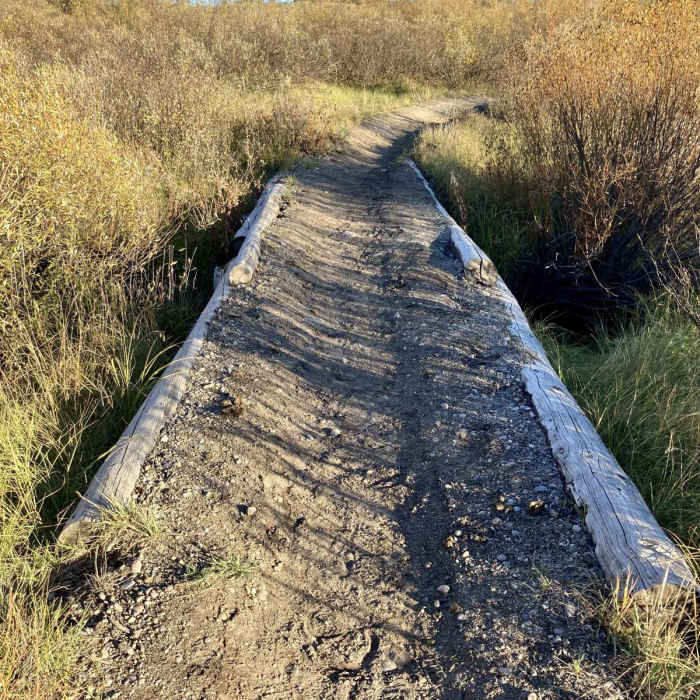 Near Christian Pond Loop