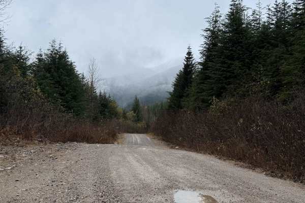 Kleanza Forest Service Road