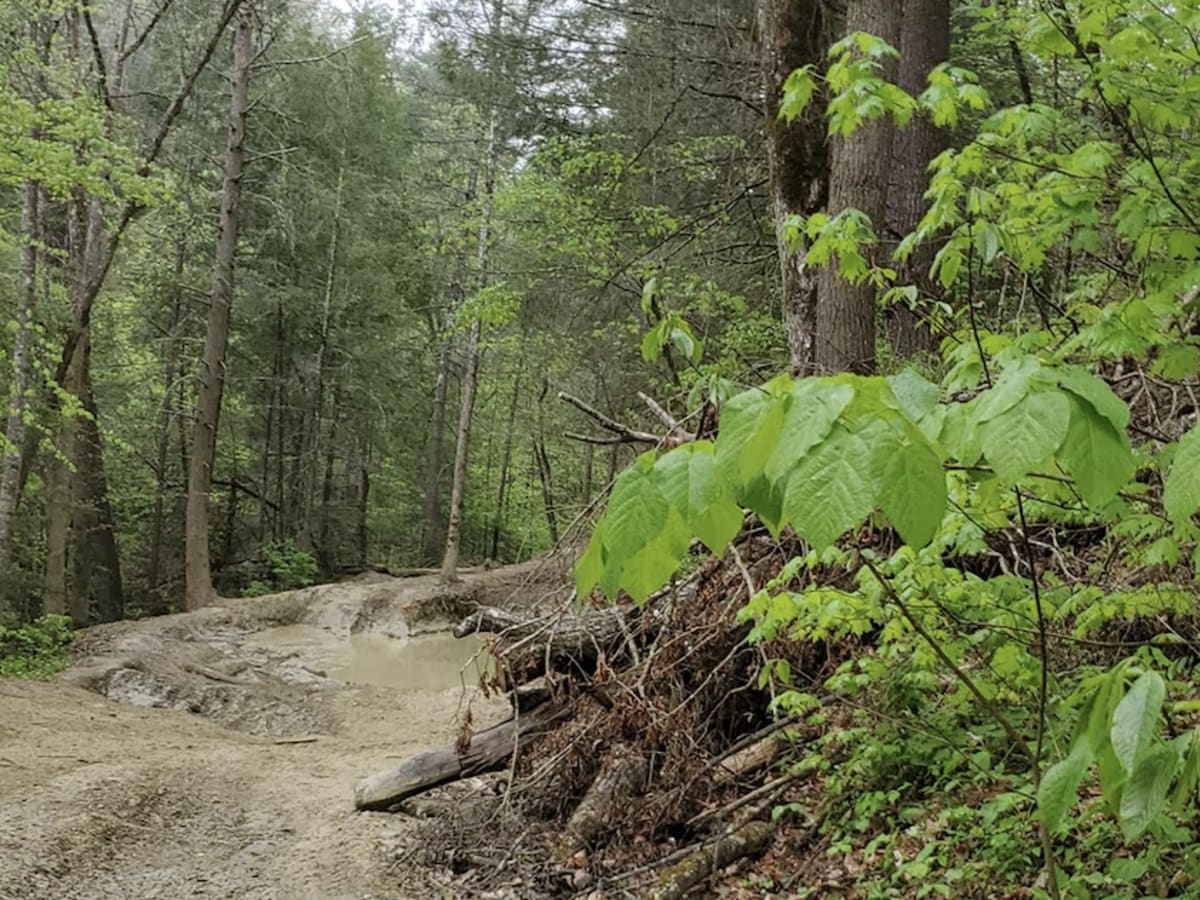 Zachariah 4WD Trail photo 2