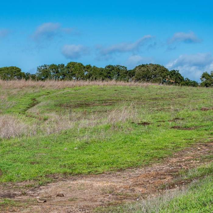 Near Moore Creek Preserve Hiking Trails