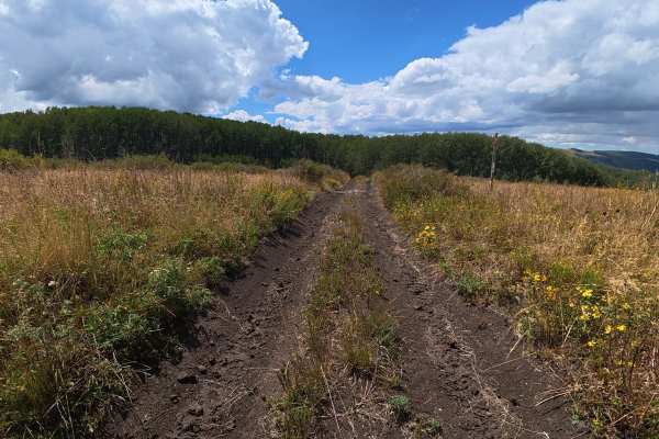 Red Elephant Hill Road Cutoff - FS 848
