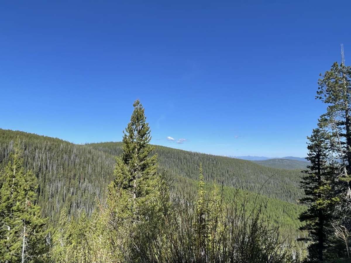 West Fork Butte photo 6