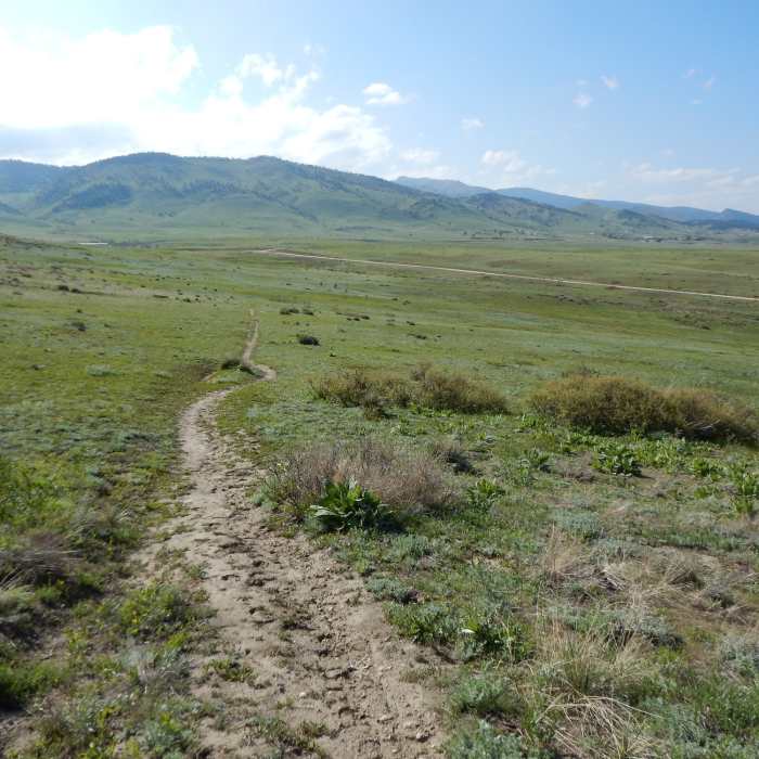 Near Cobalt Trail
