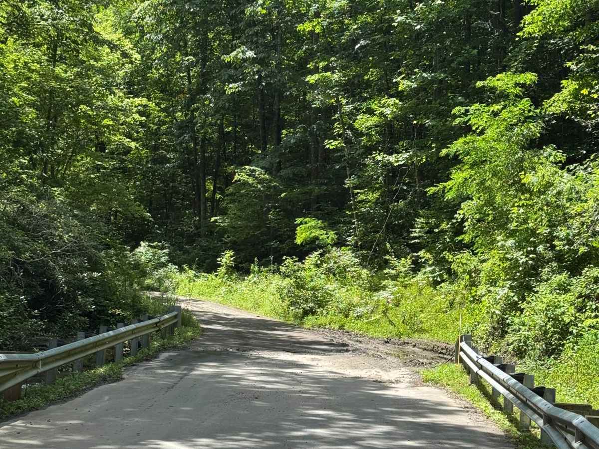 Lower Moses Creek - FS 4651 photo 6