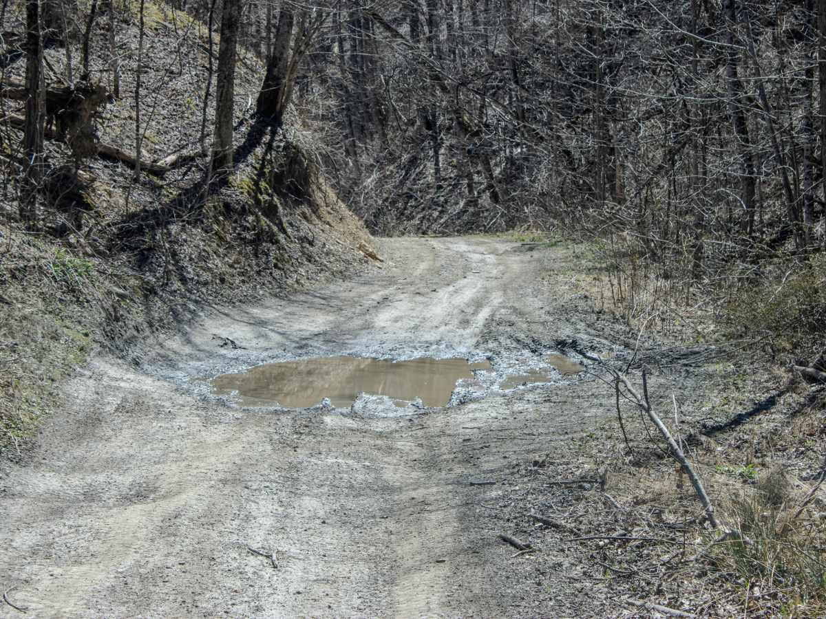 Pine Bald Trail photo 2