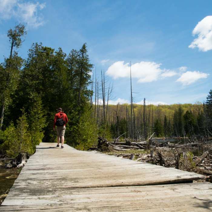 Near Mt. Pisgah Out-and-Back Near Mt. Pisgah Out-and-Back