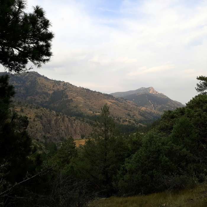 Near Crosier Mountain Garden Gate Trail (#931)