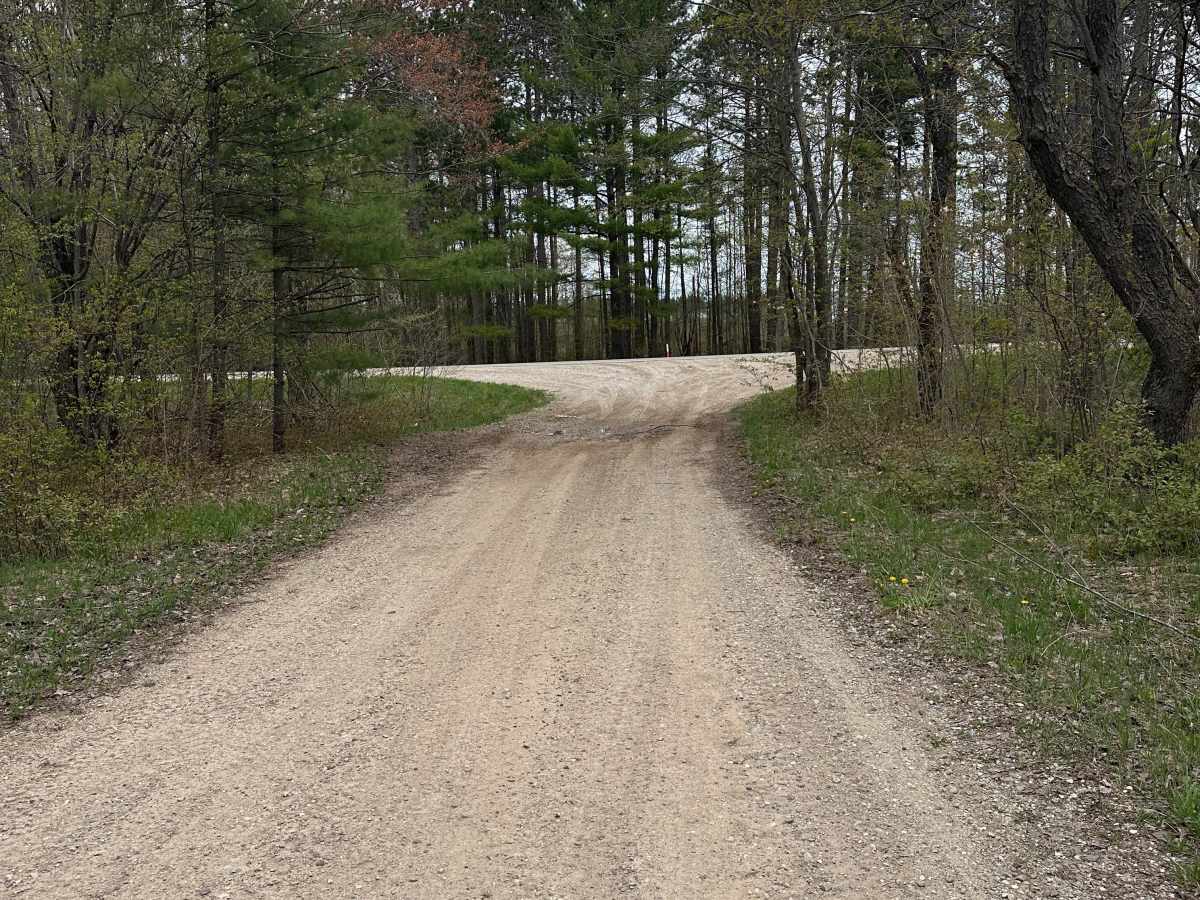 Mancelona Road Spur trail photo
