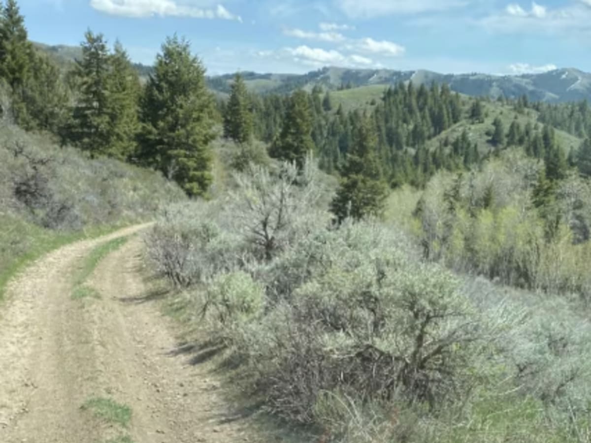Houtz Canyon photo 5