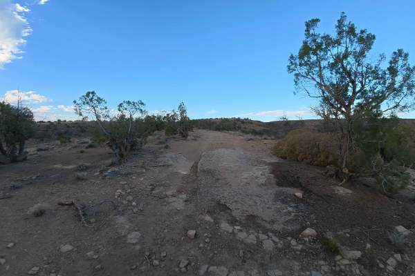 Little Buck Road