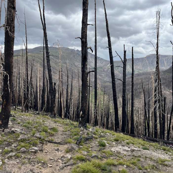 Near Mummy Pass Trail