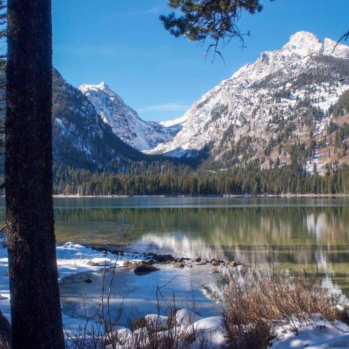 Near Bradley - Taggart Loop