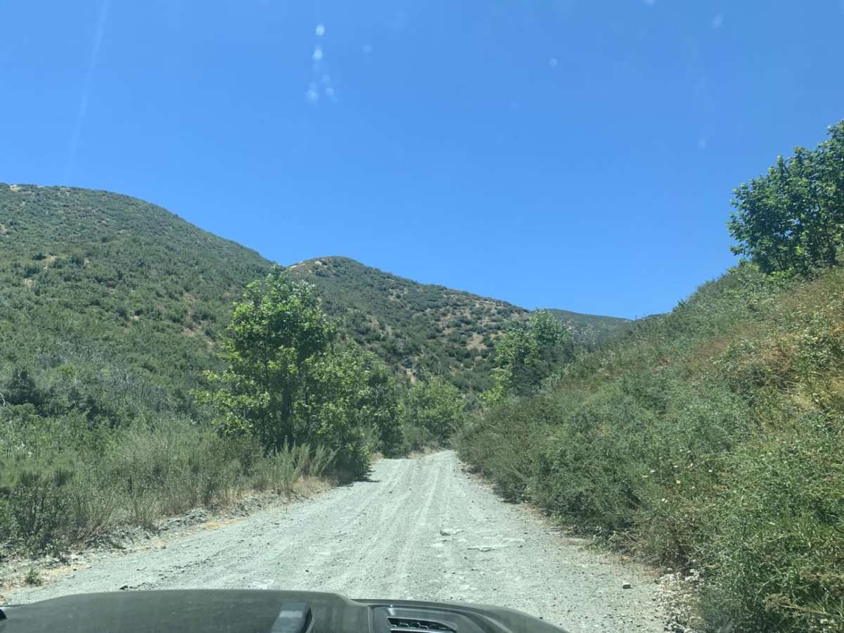 Sheep Canyon photo 4