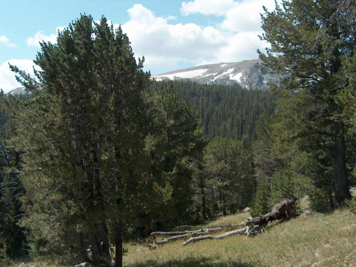 Moon Lake photo 2