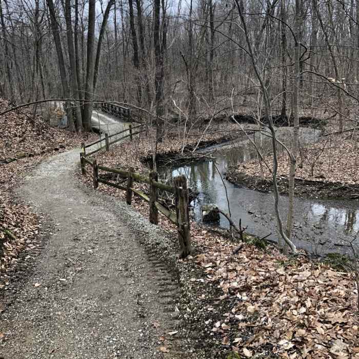 Near Five Oaks Trail