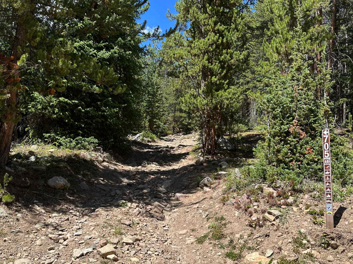 No Name Road photo 6