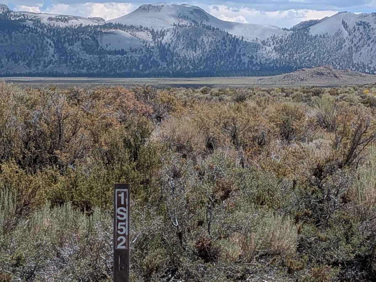 Forest Service Road 1S52 photo 2