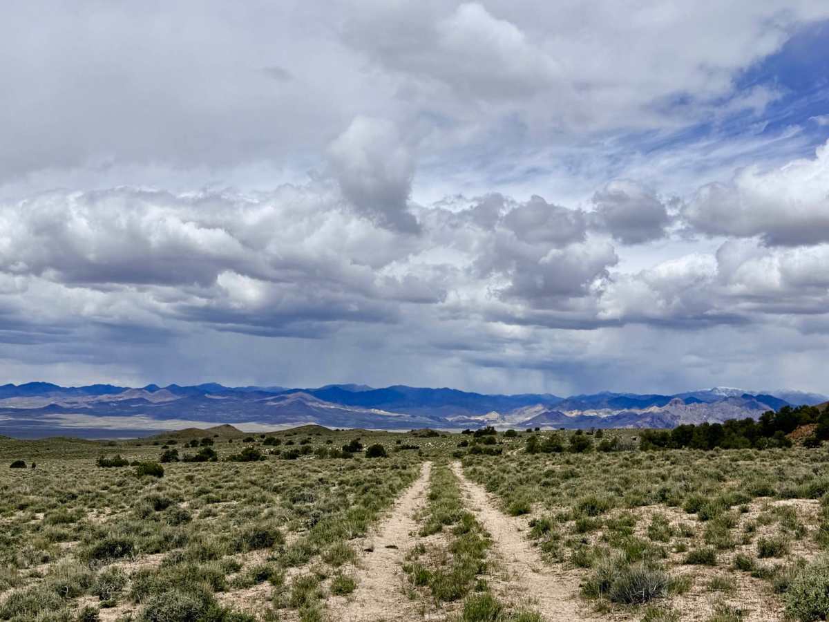 Willow Spring Cutoff - FS 44525 trail photo
