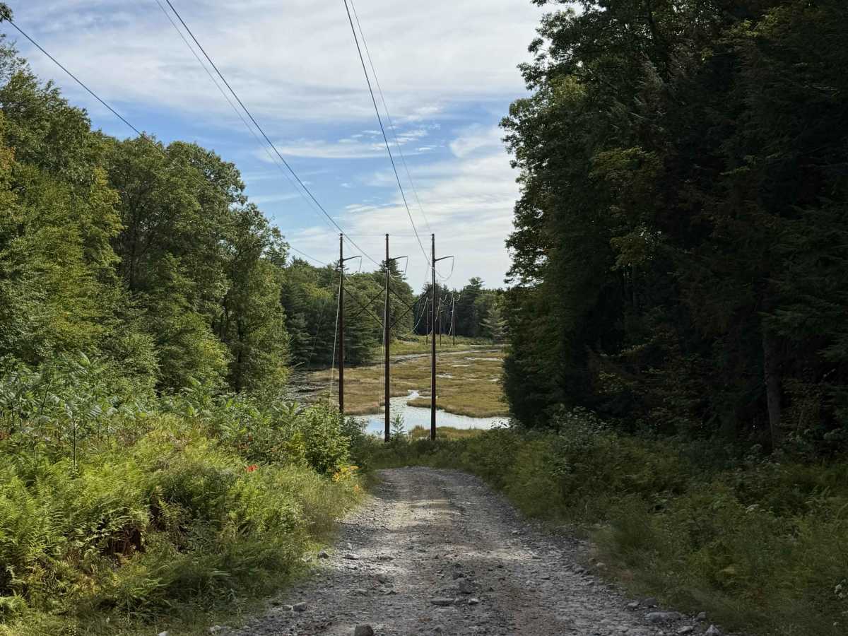 Mountain Road photo 4