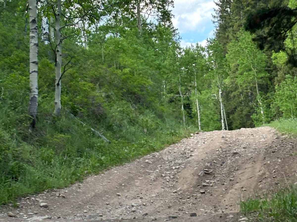 Little Box Road photo 2