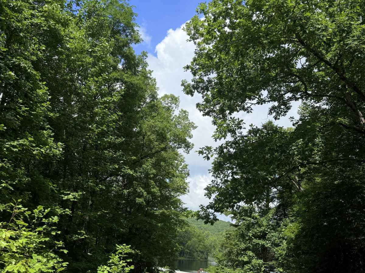 Big Cherry Reservoir photo 6