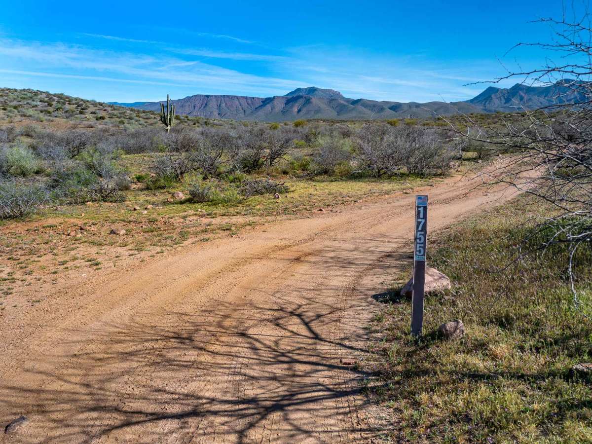 FS 1755 trail photo