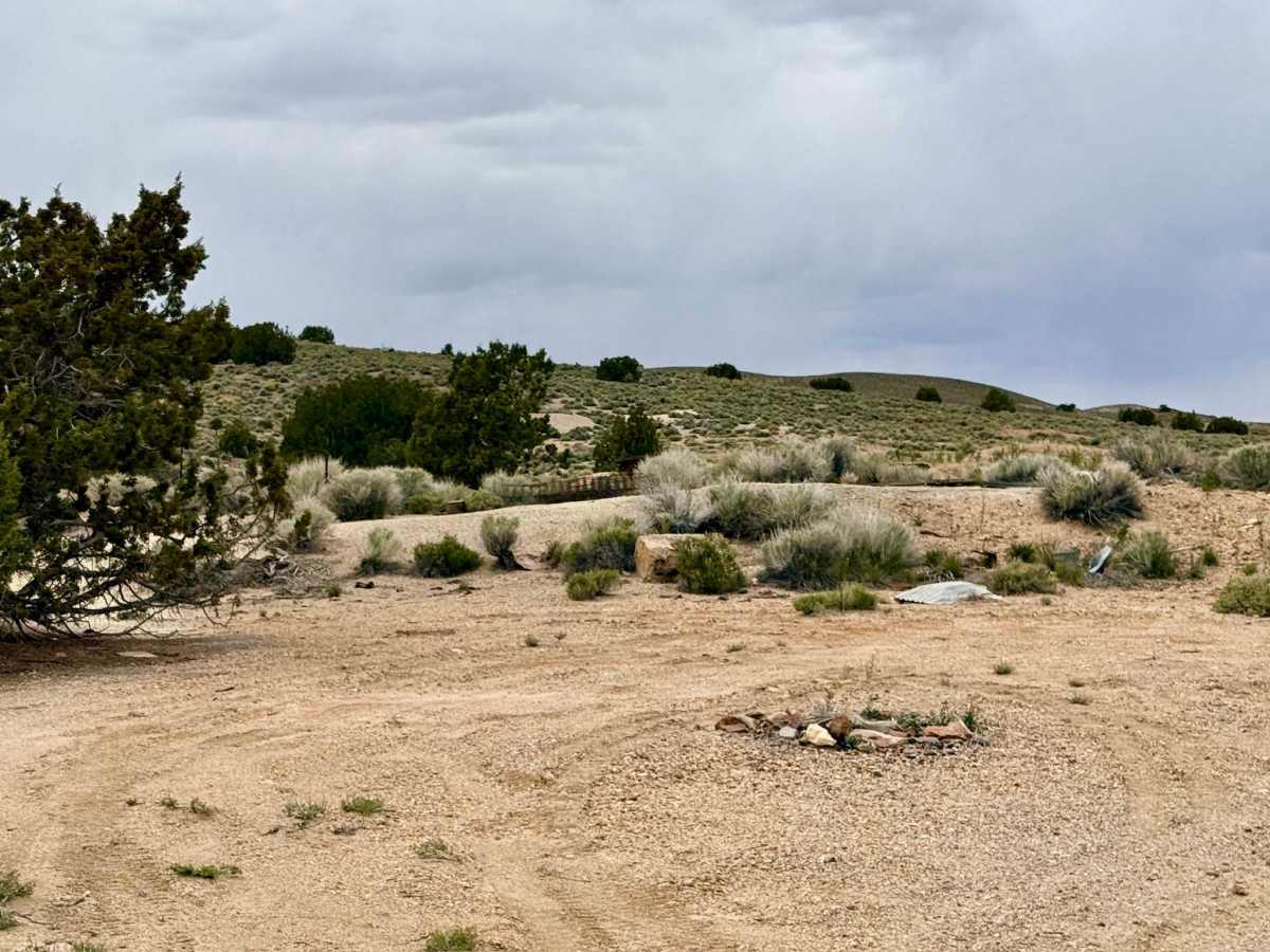 Parrotte Springs / Hannapah Road - FS 44505 photo 5