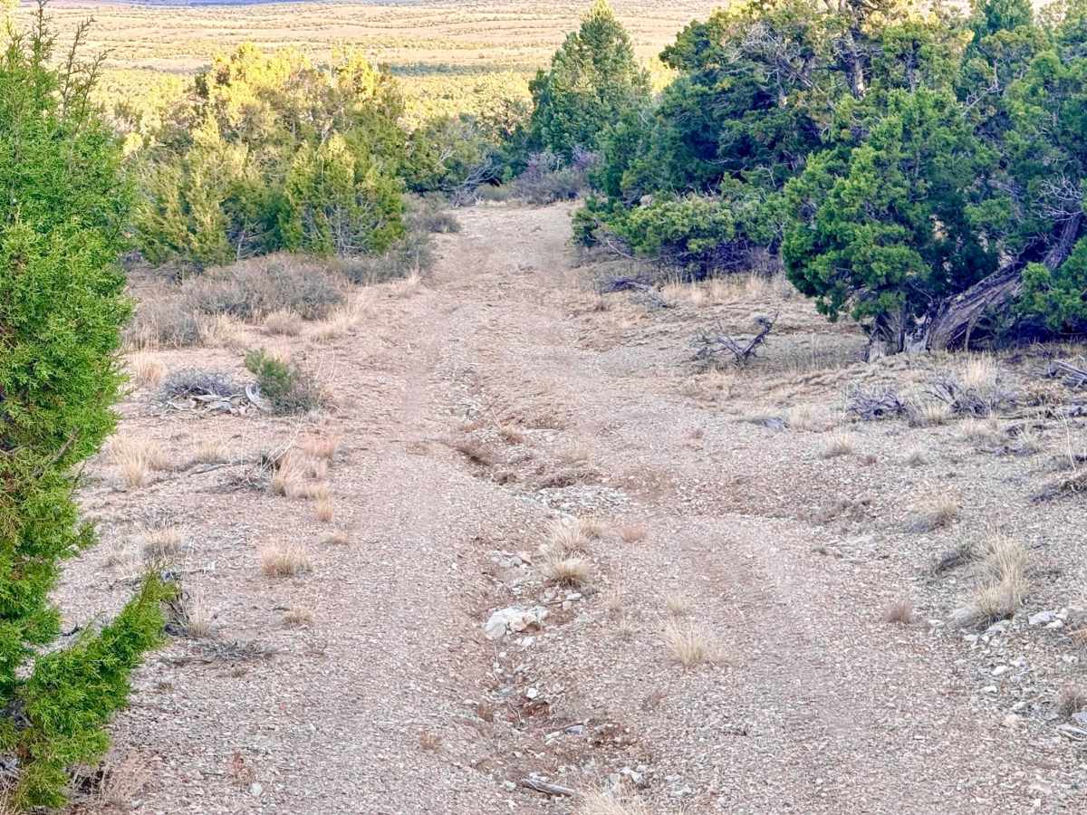 Warm Springs Southwest Loop - FS 17546 photo 6