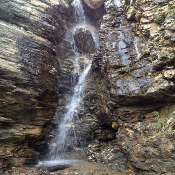 Near Dragonfly Creek Near Dragonfly Creek