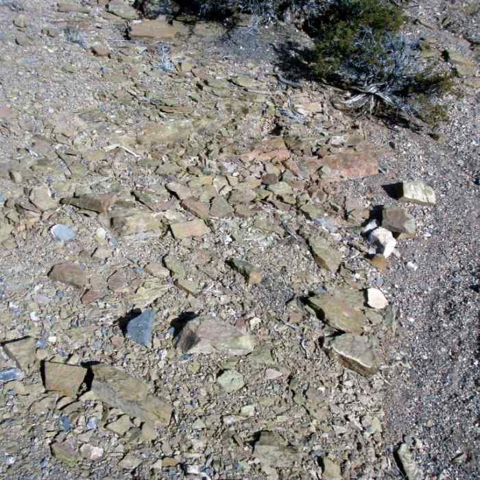 Near Oak Springs Trilobite Site Near Oak Springs Trilobite Site