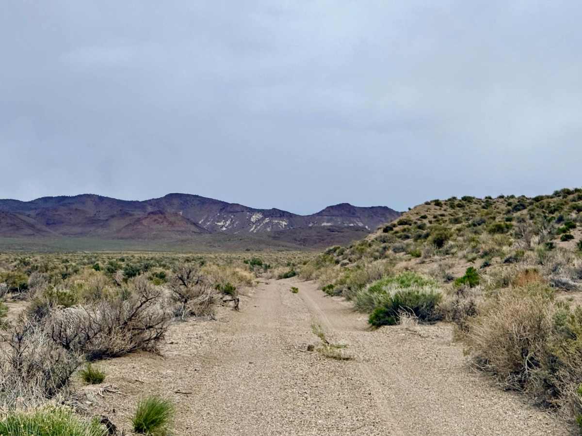 Saulsbury Road trail photo