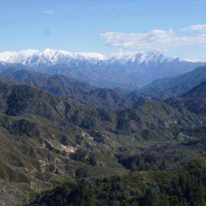 Near Valley Forge Trail #12W09