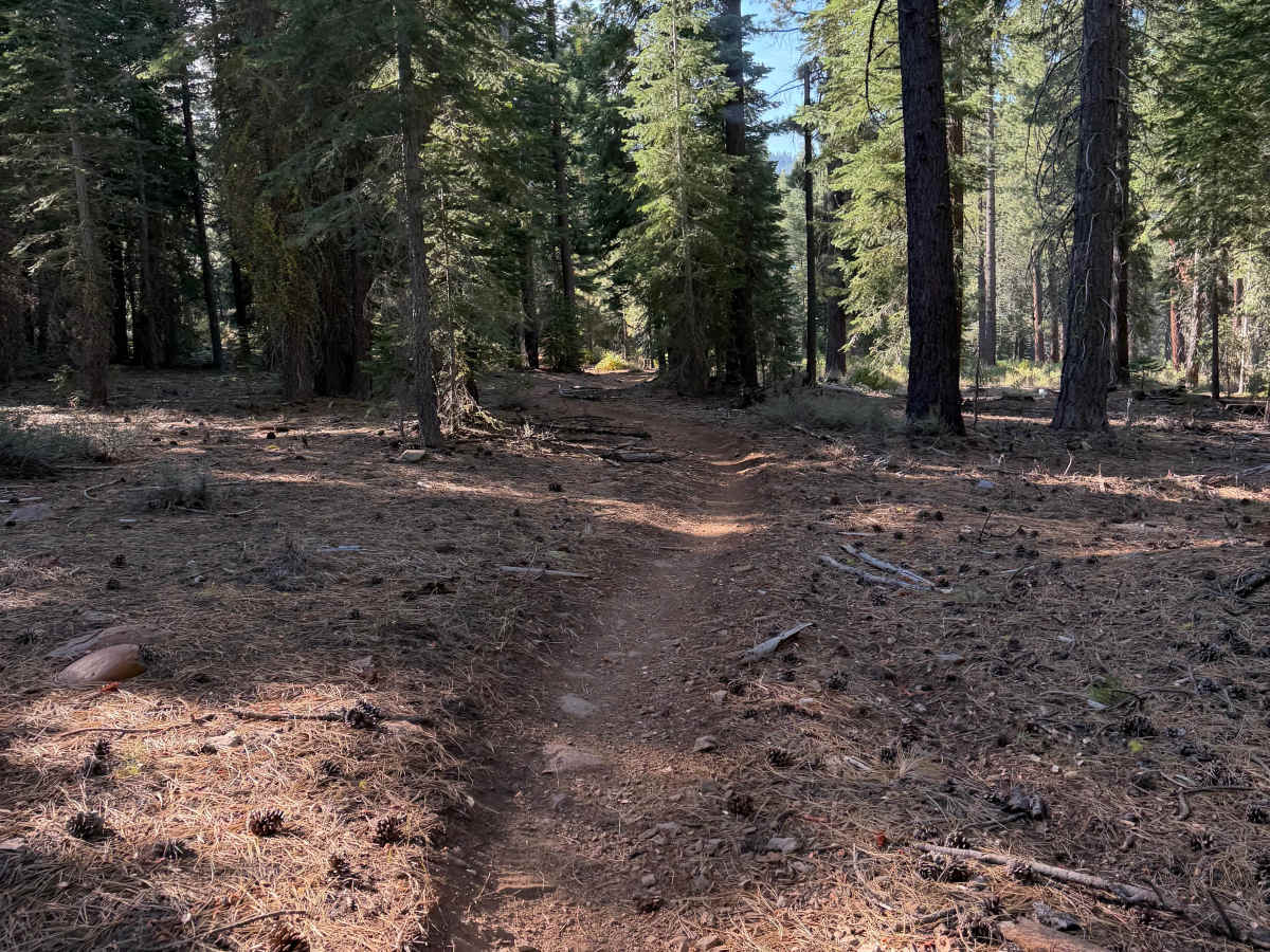 Boulder Dash photo 4
