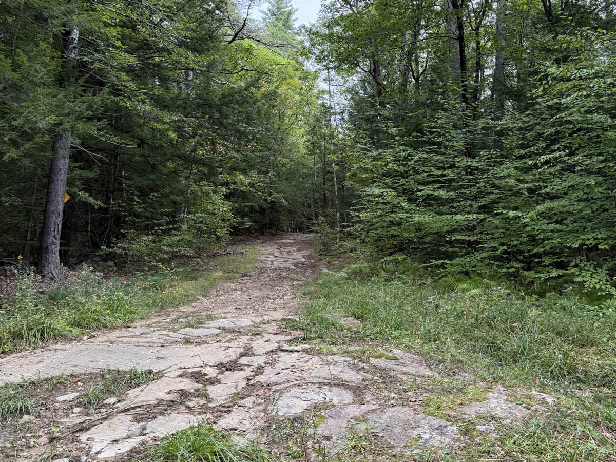 Sawyer Road photo 2