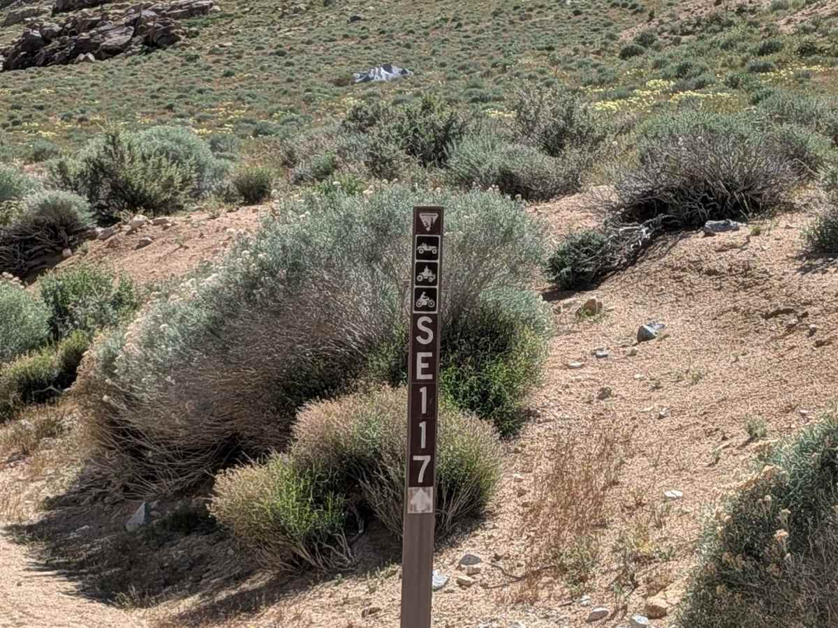 BLM 116 trail photo