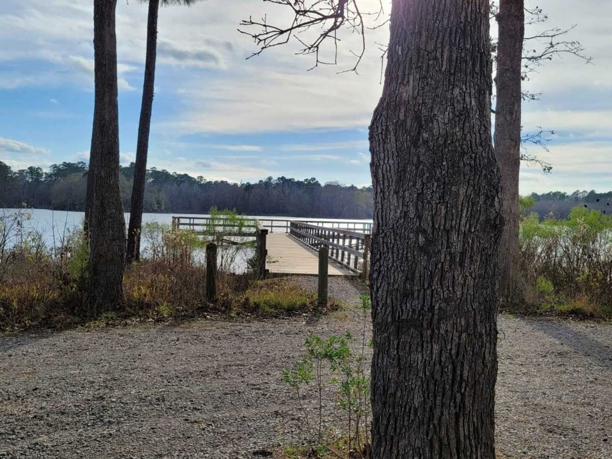 Ivan Lake Trail photo 3