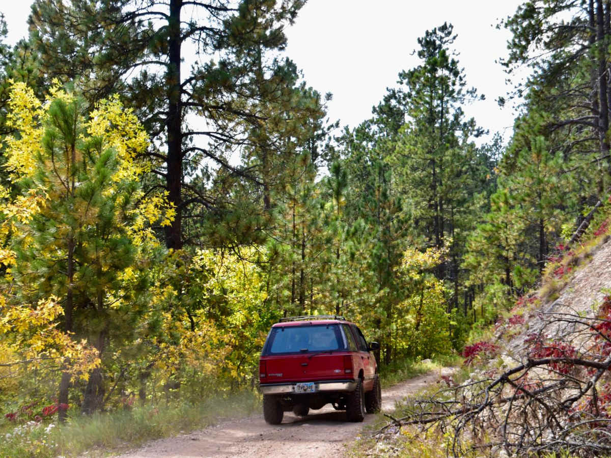 Bulldog trail photo