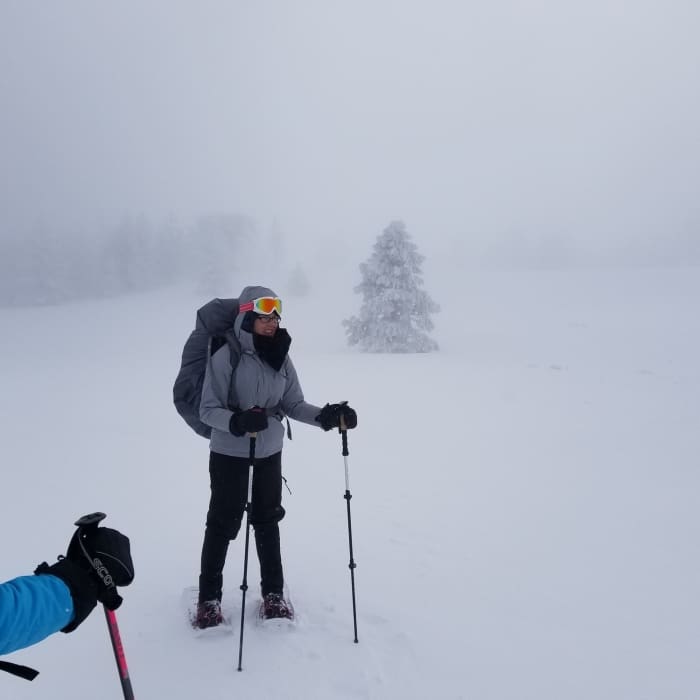 Near Mt. Pinos Road